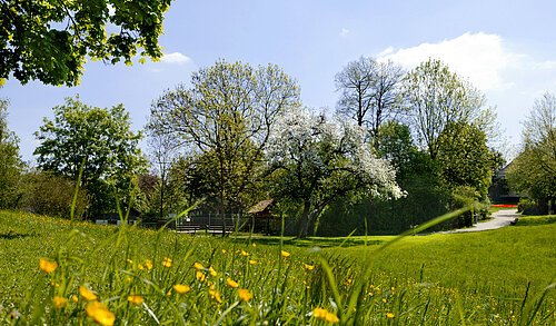 Landshuter Hofgarten
