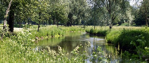 Flutmulde Landshut